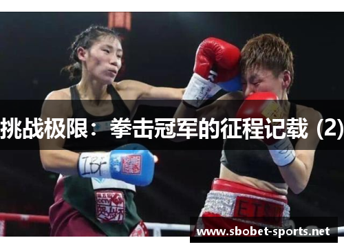 挑战极限：拳击冠军的征程记载 (2)