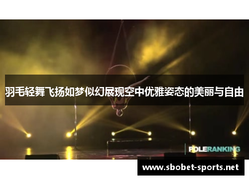 羽毛轻舞飞扬如梦似幻展现空中优雅姿态的美丽与自由