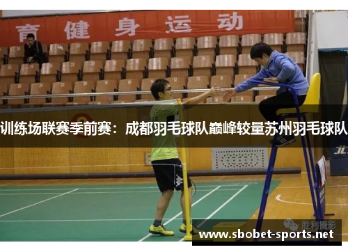 训练场联赛季前赛：成都羽毛球队巅峰较量苏州羽毛球队